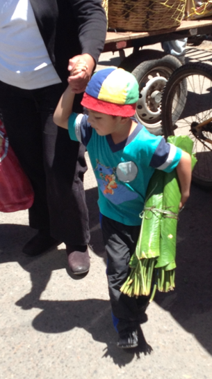 little guy doing his part